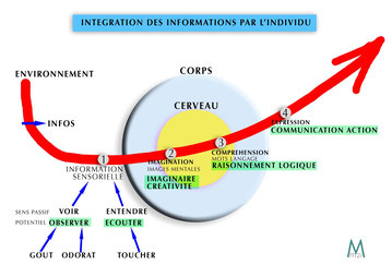 Schéma des potentiels de la méthode Potentialis